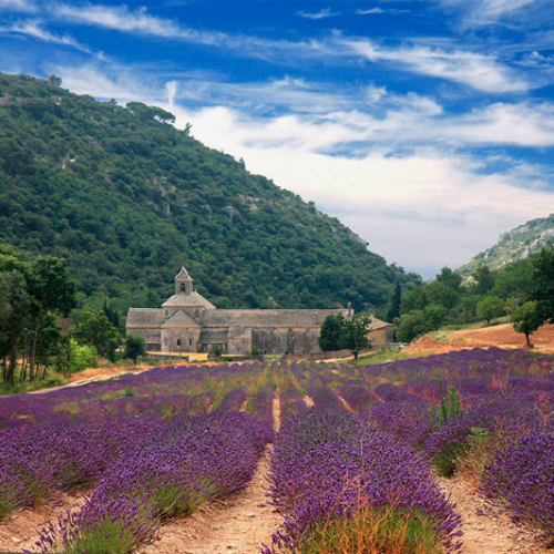 Vélo, yoga et méditation dans le luberon du 12 au 19 mai 2018