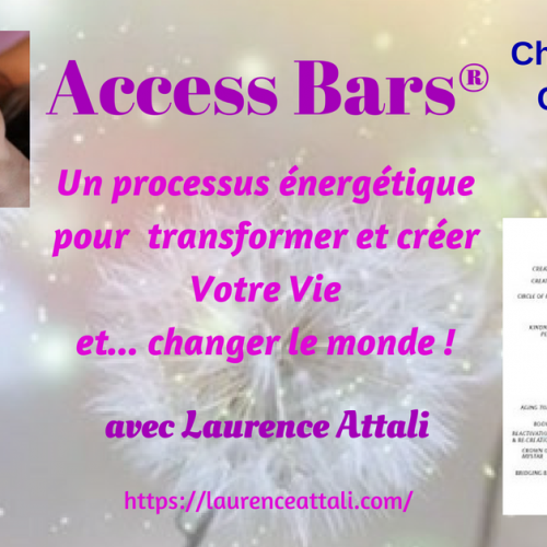 Trans-Formation avec Access Bars®