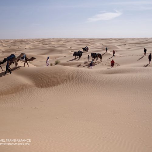 Stage « Contactez le féminin sauvage en soi » dans le désert tunisien