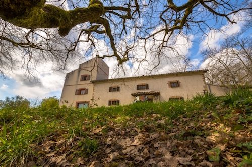 Accueil de stages en pleine nature dans le Tarn