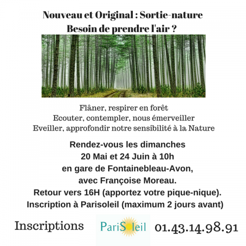 Sortie nature dans la forêt de Fontainebleau