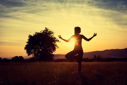 Formation Yoga « Prânâyâma et Méditation »