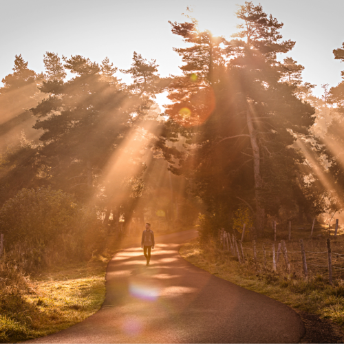 PINATELLE, TERRE DE BIEN VIVRE –  vivre l’expérience de la (re)connexion à la Nature – du 9 au 14 juin 2019