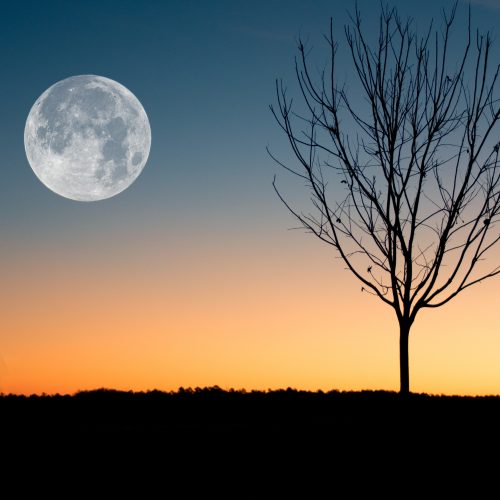 Pleine Lune du 1er octobre 2020 : Patience et optimisme, pour plus de légèreté !