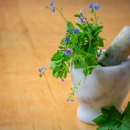 Naturopathe : Comment le choisir ?