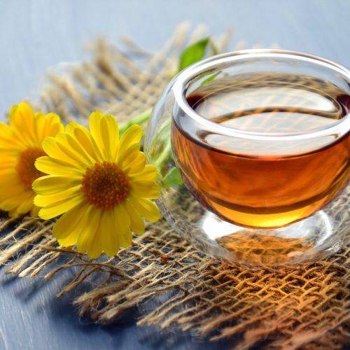 Quels sont les divers avantages du rooibos ?